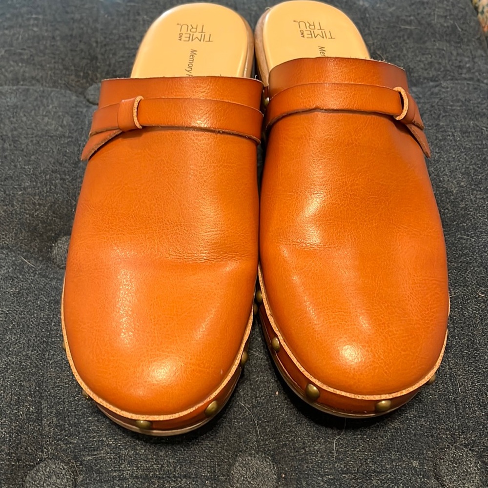 Brown Mules by Time and Tru. Excellent condition. Size 9
